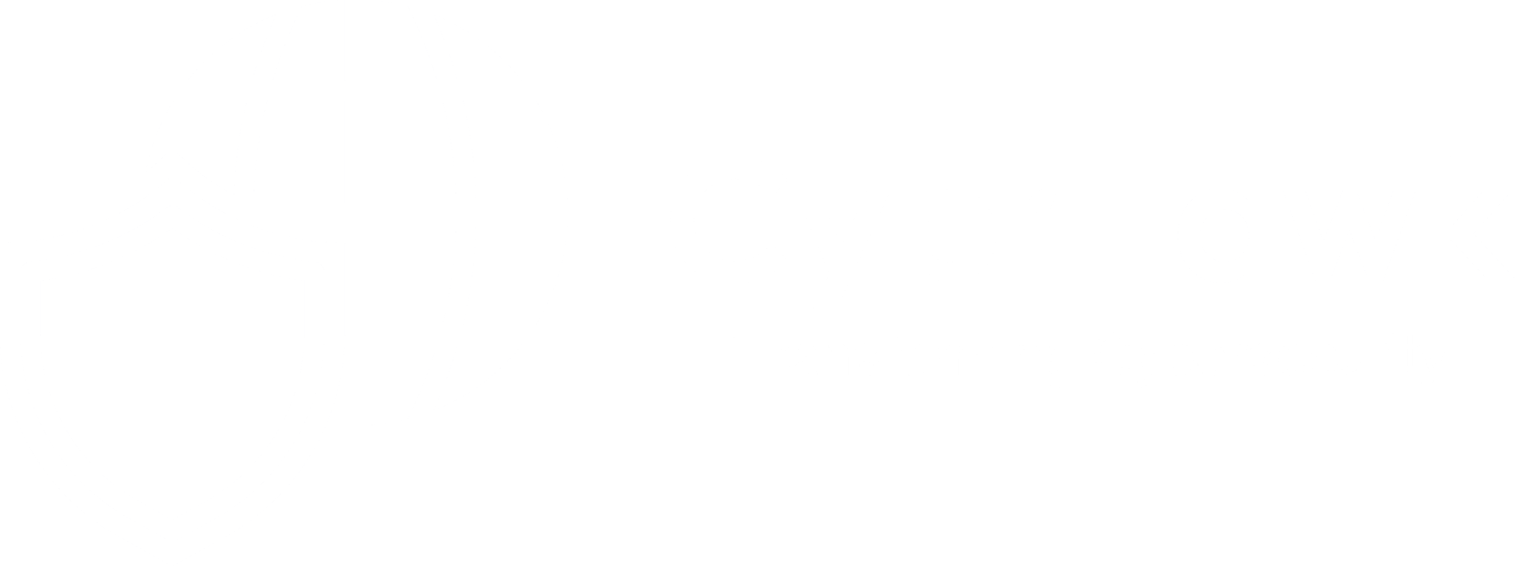 CybrHawk logo